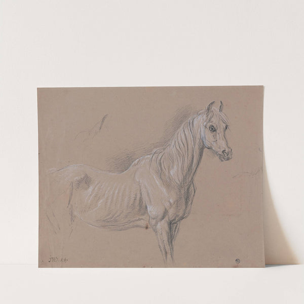 A Mare; Possibly a Study for &#039;L&#039;Amour de Cheval&#039; by James Ward