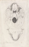 A measured drawing of a skull (1826)