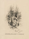 A Midsummer night’s dream; She never had so sweet a changeling (1901)