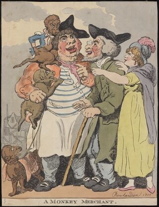 A monkey merchant (1806)