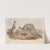 A monograph of the Macropodidae, or family of kangaroos Pl.01 by John Gould
