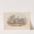 A monograph of the Macropodidae, or family of kangaroos Pl.03 by John Gould