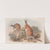 A monograph of the Macropodidae, or family of kangaroos Pl.22 by John Gould