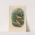 A monograph of the Pittidæ, or family of ant-thrushes Pl.18 by Daniel Giraud Elliot