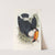 A monograph of the Ramphastidae, or family of toucans Pl.06 by John Gould