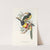 A monograph of the Ramphastidae, or family of toucans Pl.12 by John Gould
