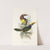 A monograph of the Ramphastidae, or family of toucans Pl.18 (1833) by John Gould