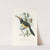 A monograph of the Ramphastidae, or family of toucans Pl.19 (1833) by John Gould