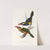A monograph of the Ramphastidae, or family of toucans Pl.22 (1833) by John Gould
