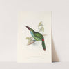 A monograph of the Ramphastidae, or family of toucans Pl.33 (1833) by John Gould