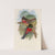 A monograph of the Trogonidae or family of trogons Pl.05 by John Gould