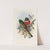 A monograph of the Trogonidae or family of trogons Pl.16 by John Gould