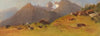 A mountain pasture