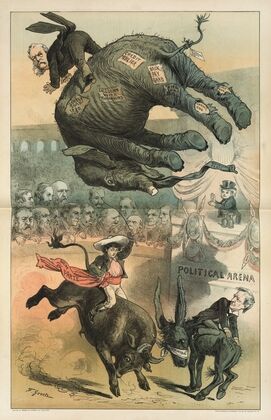 A new bull in the ring