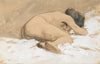 A nude study