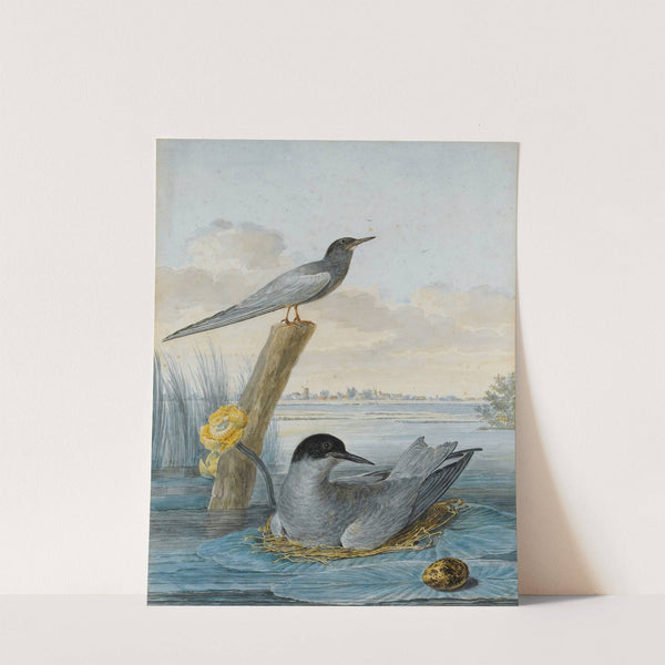 A Pair Of Black Terns With Nest And Egg In A River Landscape by Aert Schouman