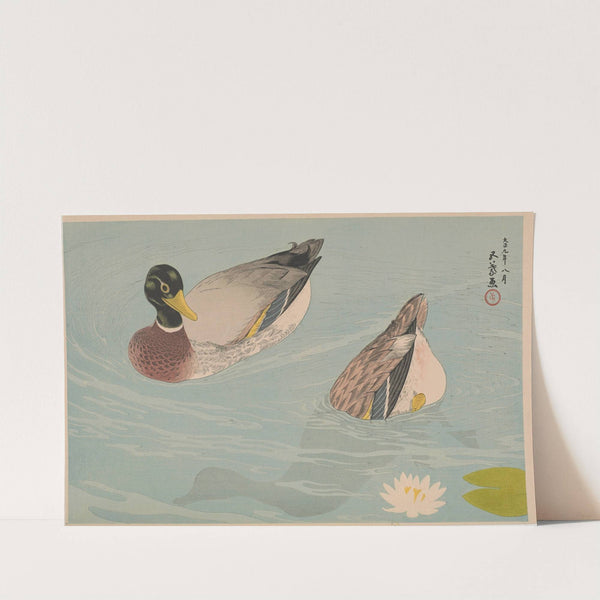 A pair of ducks (1920) by Hashiguchi Goyō