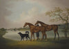 A Pair Of Hunters Held By A Groom, With A Newfoundland Dog, By A Lake