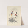 A pair of parrots by Edward Lear