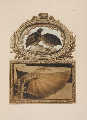 A pair of quails; a lute