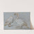 A Pair Of Standing Swans, One Preening by Aert Schouman