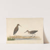 A Pair of Stints by Charles Collins