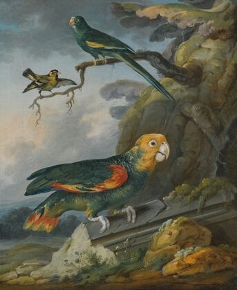A Parrot, A Perroquet And A Gold Finch At The Base Of A Tree