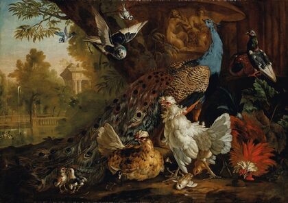 A peacock, chickens, pigeons and other birds in a landscape