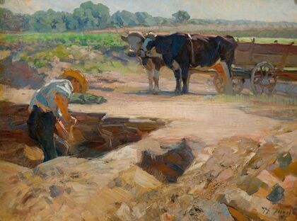 A peat digger with a team of oxen