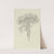 A pine by Fritz Bamberger