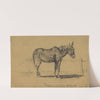 A played-out mule in hospital by Edwin Forbes
