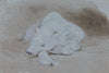 A Polar Bear, Asleep, Front View