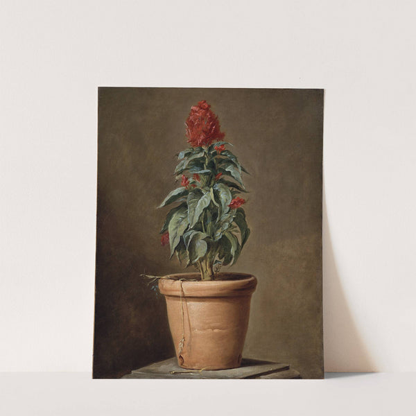 A Potted Plant by Henri-Horace Roland Delaporte
