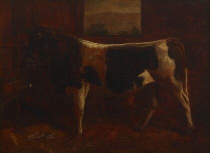 A Prize Bull