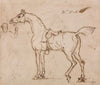 A Racehorse, Bridled and Saddled