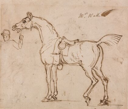 A Racehorse, Bridled and Saddled