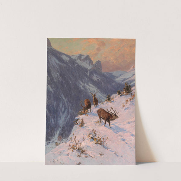 A Red Deer in Winter (1886) by Arthur Thiele