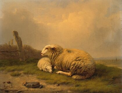 A resting sheep and a lamb