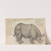 A Rhinoceros in the Pashwa&#039;s Menagerie at Poona by Gangaram Chintaman Tambat