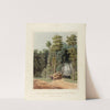 A Road Accident; a Glimpse thro’ an Opening of the Primitive Forest (1841) by William James Bennett