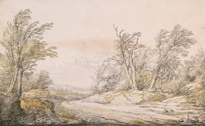A Road on the Dunes