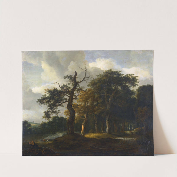 A Road through an Oak Wood by Jacob Salomonsz. van Ruysdael