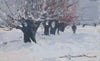 A row of trees against the background of snow