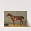 A Saddled Bay Horse in a Stable (1895) by Emil Volkers