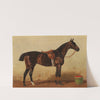 A Saddled Bay Horse in a Stable (1903) by Emil Volkers