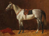 A Saddled White Horse in a Stable (1903)