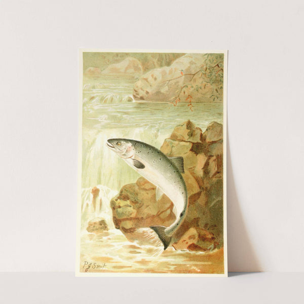 A Salmon Leap (1893-1896) by Pierre Jacques Smit