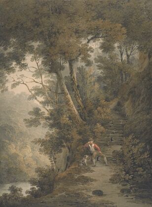 A scene in the woods at Bolton Abbey, Yorkshire