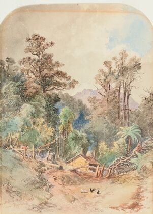 A settler’s new home near Dunedin