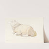 A Sheep Resting by James Ward